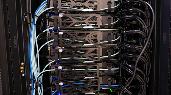 547657.jpg